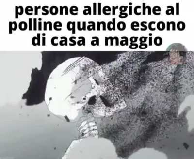 💀momento