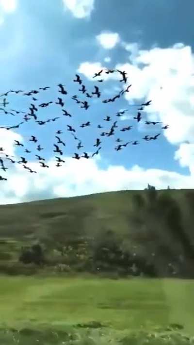 What a slow mo
