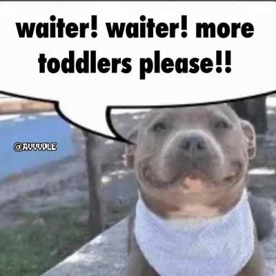 What a polite young man 😊. Hopefully he doesn’t bite ☺️.