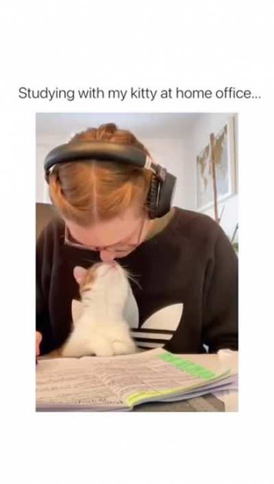 Meow irl