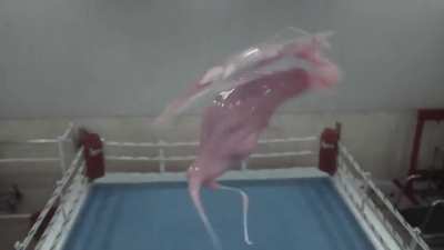 Yeah i like boxing too