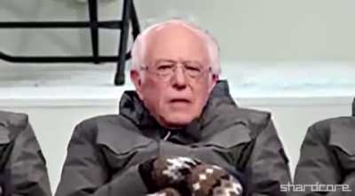 BernieMittens Wellerman