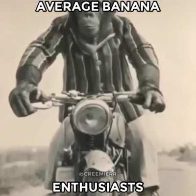 Alpha Monke