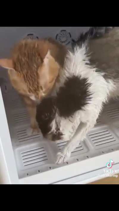 Oye bath