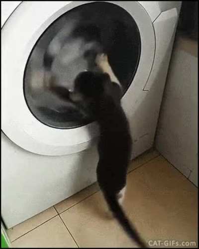 the controller washing machine!!