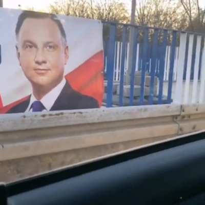 Nie bez powodu się mówi że psy się znają na ludziach - Streamable