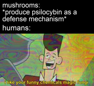 those humans are weird ngl