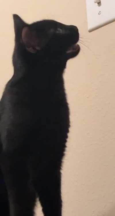 He screams