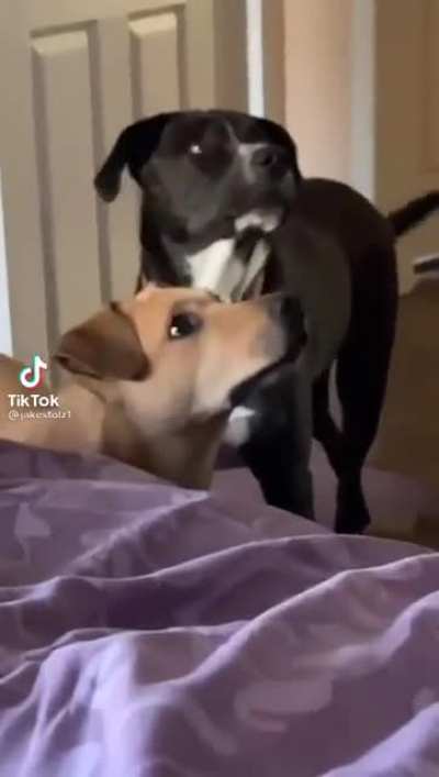 Where do you think you’re going?