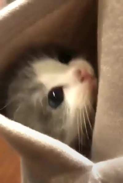 Safe in the pocket