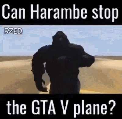 No he can’t