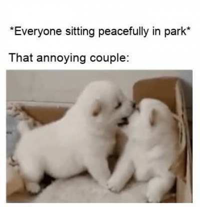 Stop it