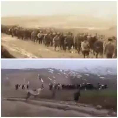 Savaştan korkarak kaçmış bir millete , tarihini savaşarak kanla yazmış bir milletin vatandaşlığı verilemez...