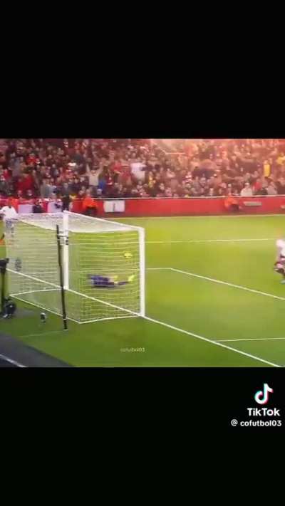 The Magic Man - Santi Cazorla 🪄