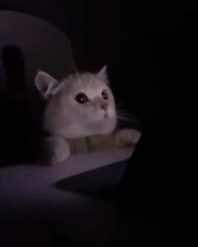 When dark mode users accidentally turn light mode on