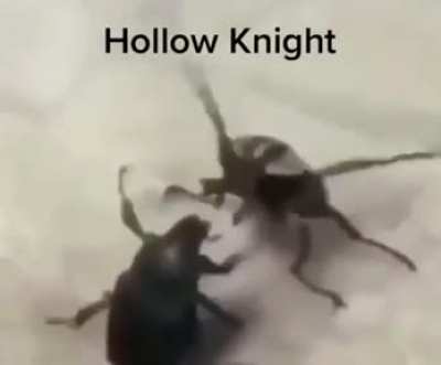 saw this on YouTube and I had to share (link to vid in comments)