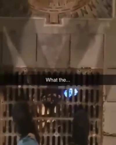 Yo