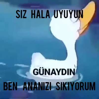 GÜNAYDIN KEYCİBİ HULKİ
