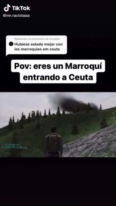 Voz de orso Virgin
