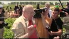 Кажется, мы не всё знаем о Вольфыче...