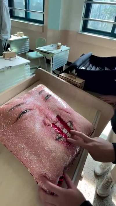 blursed pillow