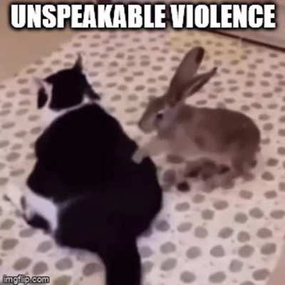 violence wunk