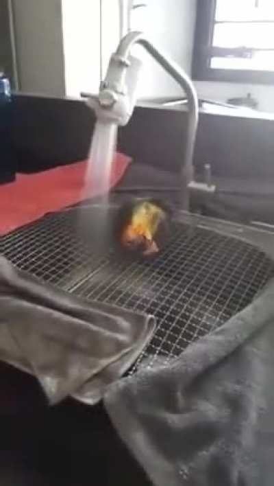 Happiest birdie shower time