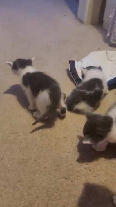 Jail break!