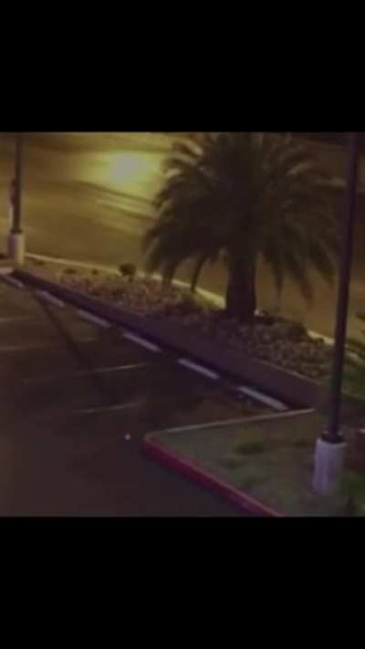 Idk if this has been posted yet, but this is Henry Ruggs before the accident