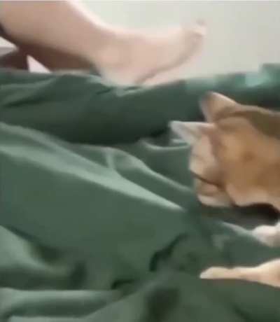 He clearly mad