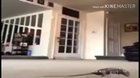 shit rat!! مضحك ميم مجانا الهبة vmoney تحميل www.freevbucksfortnitesexmvoie.wannacry 🇸🇦😂☝🏻