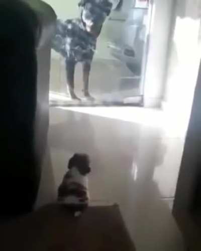 Lil boy a little scared