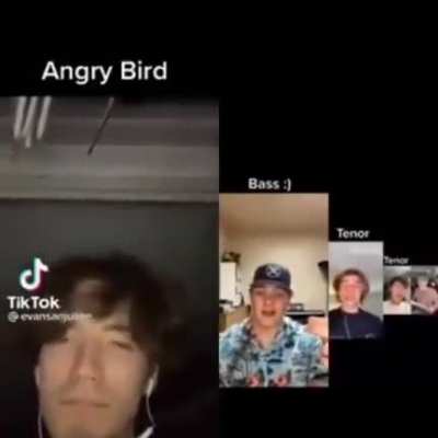 Amgry gird