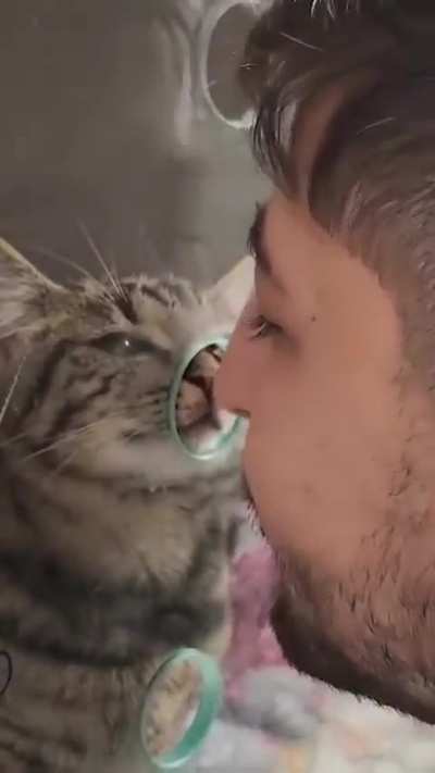 Mutual boop :3