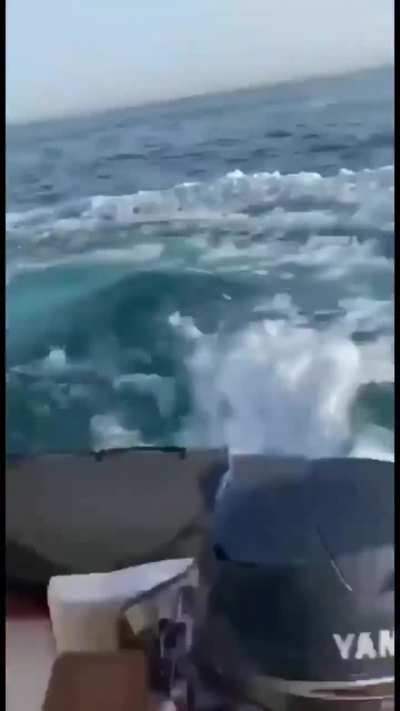 😦😦😦🤯