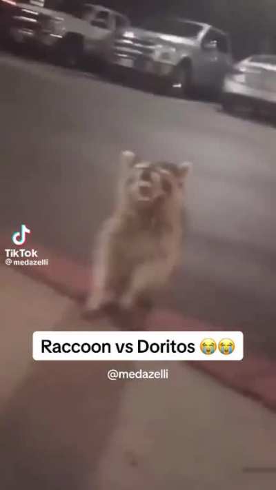 Late todo ardido cuando le dicen que ya prendio mauu 