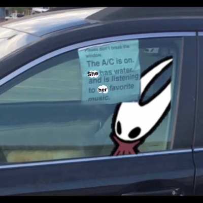 shaw in car