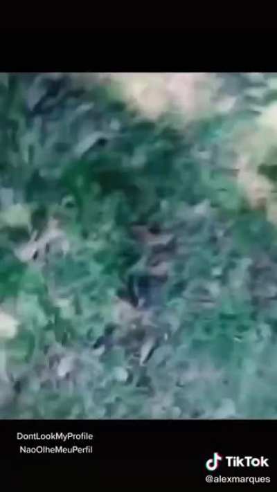 Run....