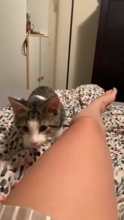 I take great pleasure in mischief, now I will frighten you