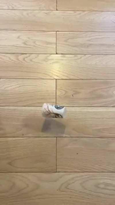 Why cats drop things. 😂