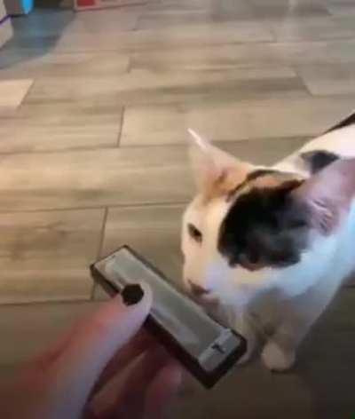 so talented