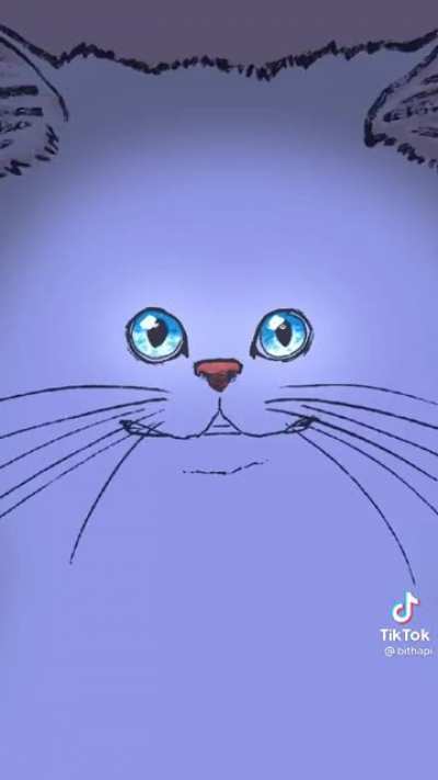 Every cat owner knows this pain