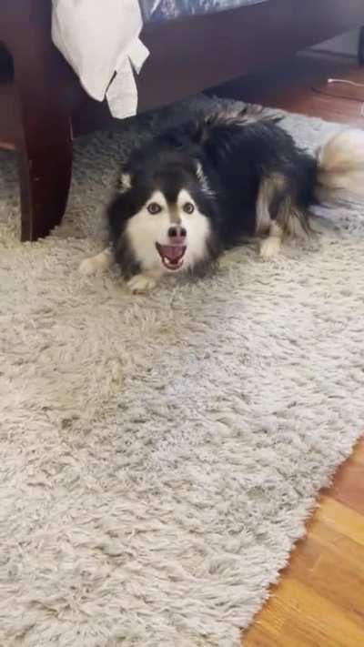 Keanu’s post bath song.