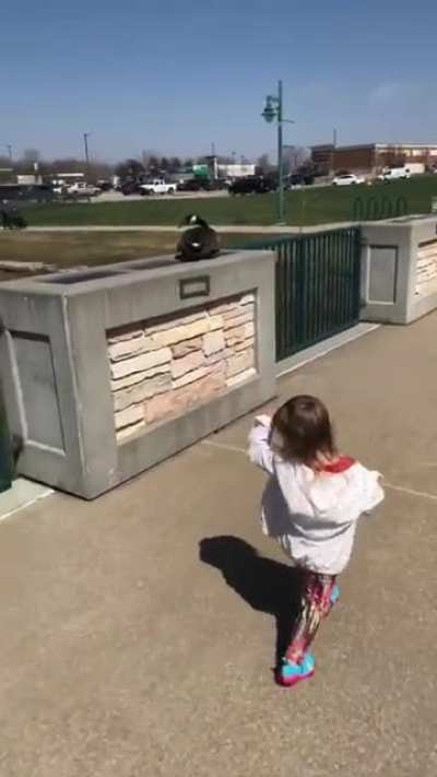 Daughter gets too close to a nesting goose