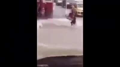 Bienvenidos