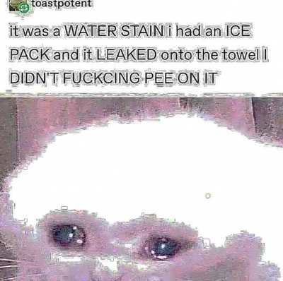 Lil' piss boy