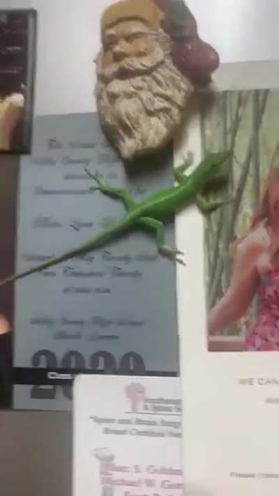 Don't Worry Little Guy