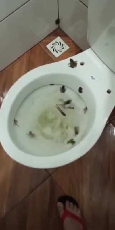 Hey you, welcome to your new irrational fear