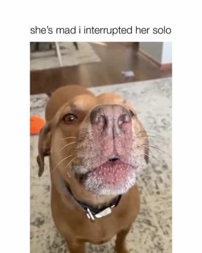 That solo