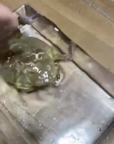 heeeeeeee